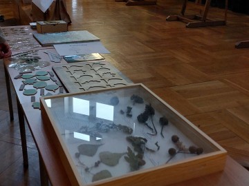 Spotkanie w Lidze Ochrony Przyrody Okręg Skierniewice , 